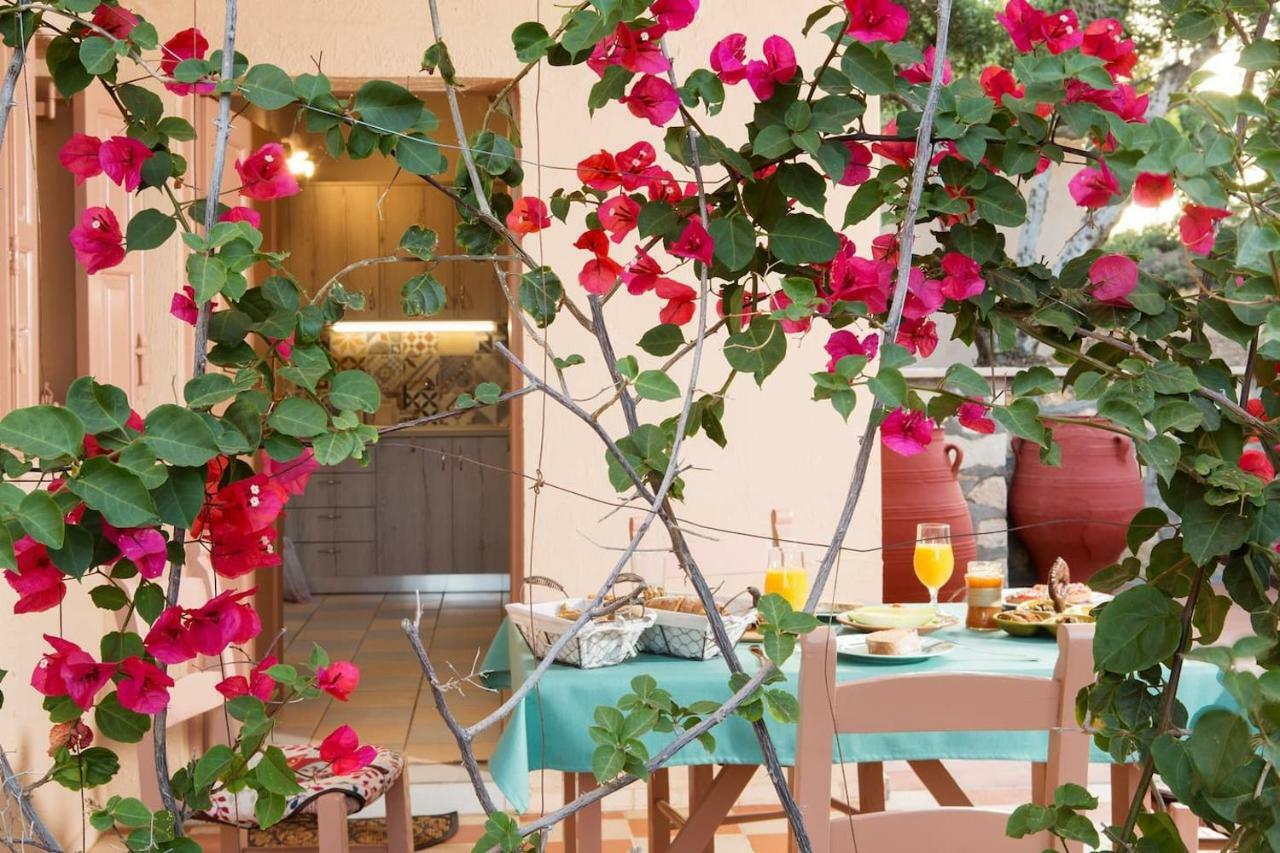 White Sand Villa. Spacious Villa With Prive Pool. Agia Pelagia Zewnętrze zdjęcie